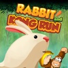 Rabbit and Kong Run