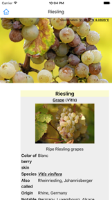 CHI Encyclopedia of Wine screenshot