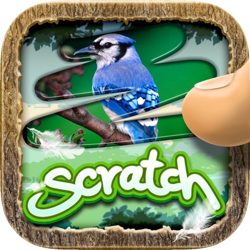 Scratch The Pics : Bird Trivia Photo Reveal Games Pro