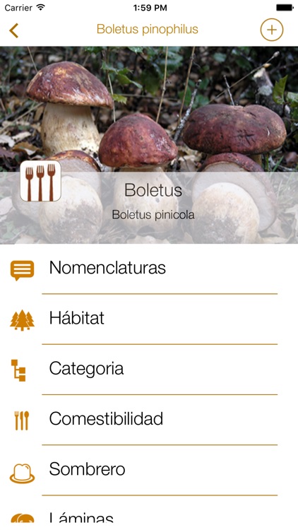Myko-Fungi StarTree screenshot-3