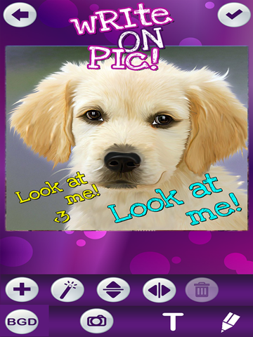 Write on Pics Free Photo Studio Editor – Add Text and Caption.s over your Favorite Picture.s iPad screenshot