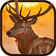 Activities of Jungle Safari Deer Hunter 2015 Challenge