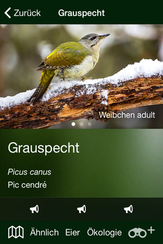 Vögel der Schweiz - Fotoguide screenshot 3