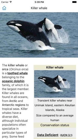 CHI Encyclopedia of Whales(圖4)-速報App