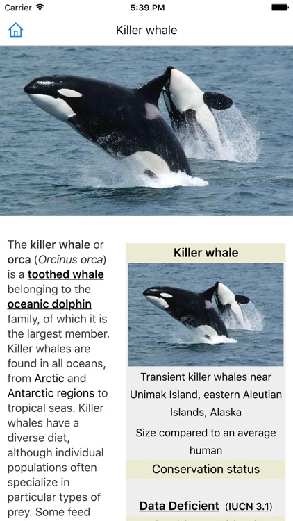 CHI Encyclopedia of Whales screenshot-3