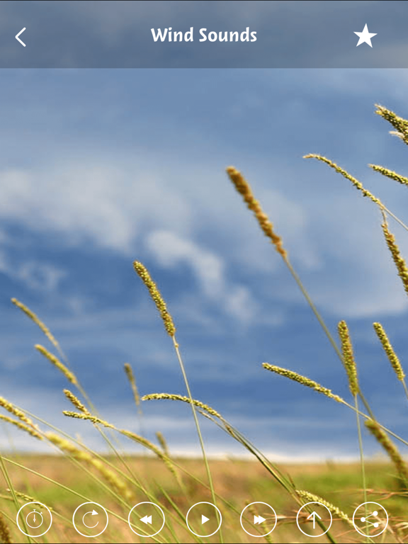 Wind sounds:Calming sounds of nature for relaxation and forest ambience for stress relief iPad screenshot 5 - Health & Fitness app