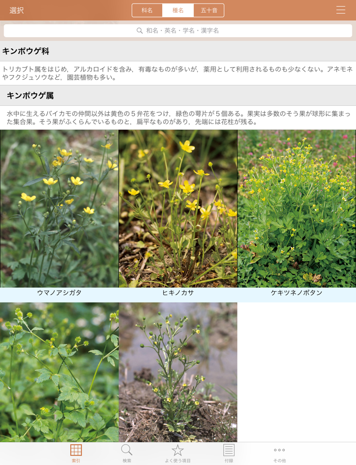 野に咲く花（山溪ハンディ図鑑）