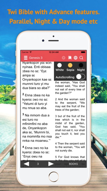 Twi Bible Akuapem screenshot-3