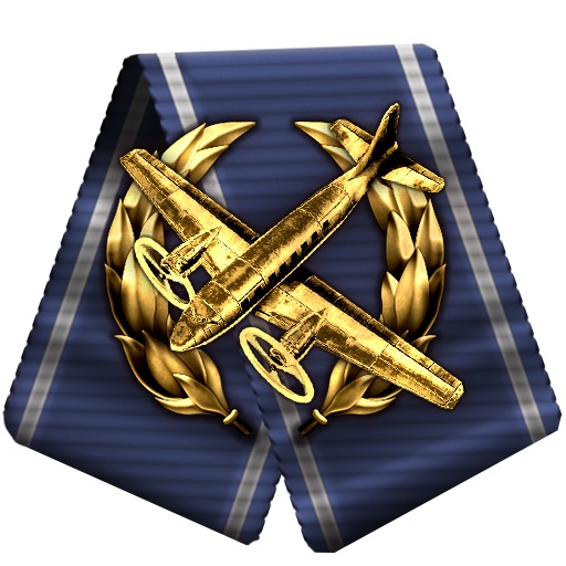 Air Force Supporter icon