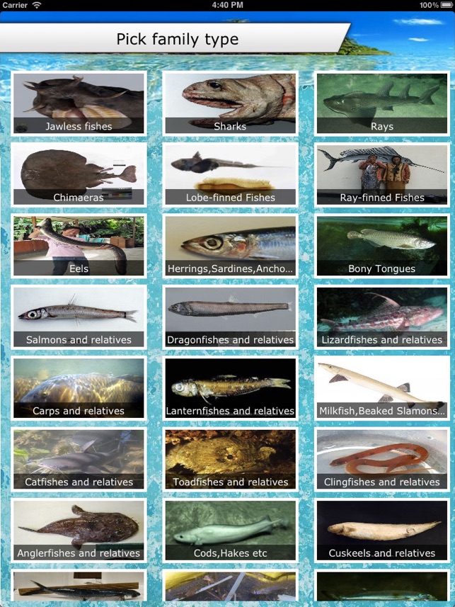 Fish ID(圖3)-速報App