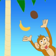 Activities of Lively Monkey