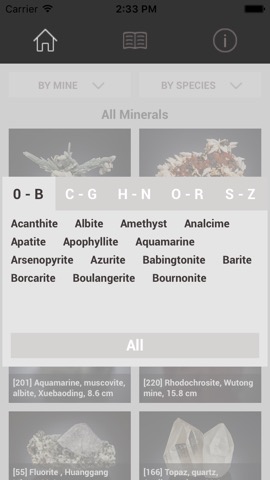 CityU Mineralsのおすすめ画像3