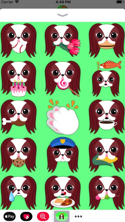 Red Sable Japanese Chin screenshot-4