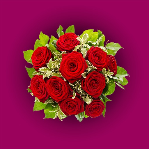 Bouquet for Birthday - Stickers for iMessage