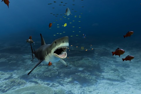 Aquarium VRのおすすめ画像2