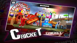 Game screenshot Cricket 3D : Street Challenge hack