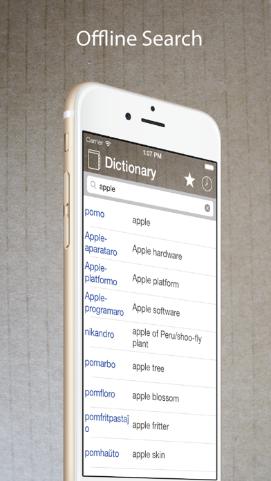 Esperanto English Dictionary Screenshot