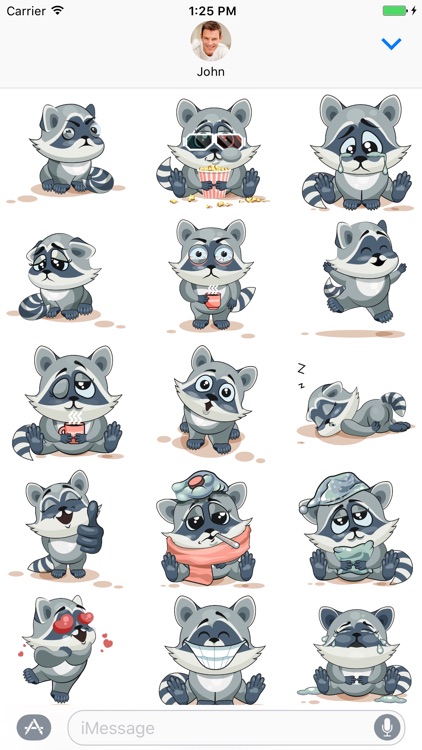 Raccoon - Stickers for iMessage