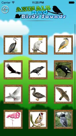 Game screenshot Animal And Bird Sounds hack