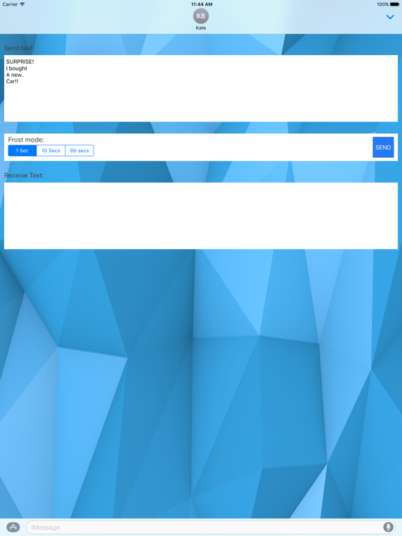 Screenshot #5 pour Frost.m - self destructing texts