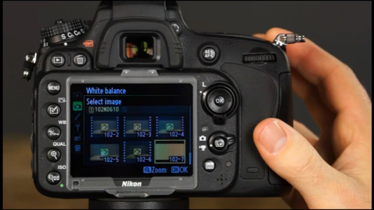Nikon D610 Shooting Video from QuickPro screenshot-3