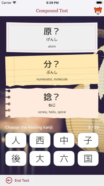 iKanji touch