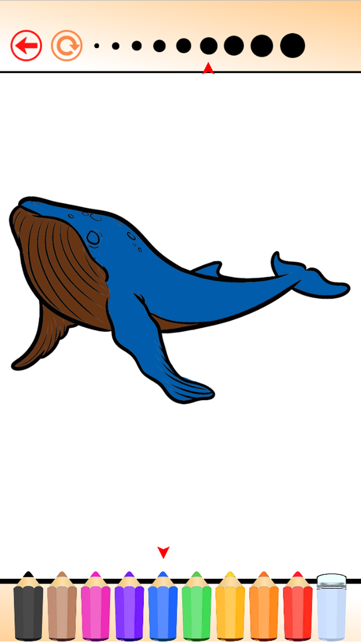 Coloring Book Sea Animal HD: Learn to paint and color a shark, jellyfish, crab and more screenshot 3