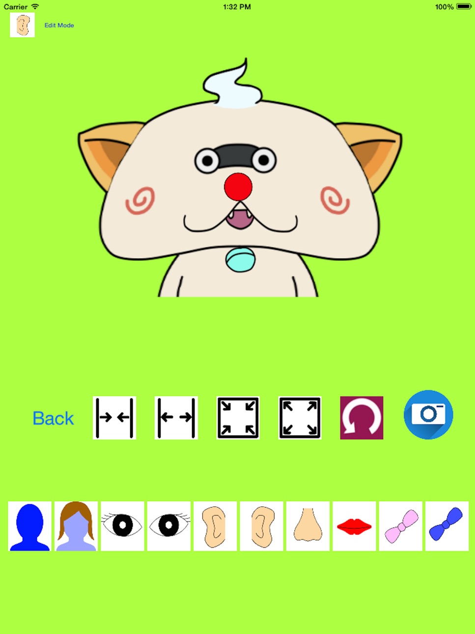 iPad screenshot