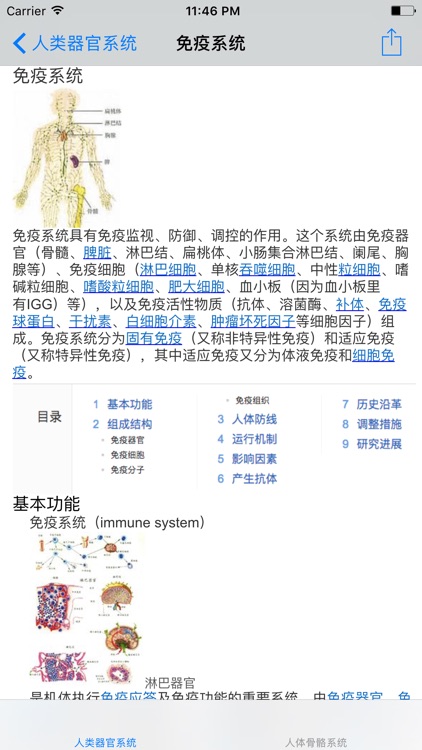 人类器官系统|人体骨骼构造大全