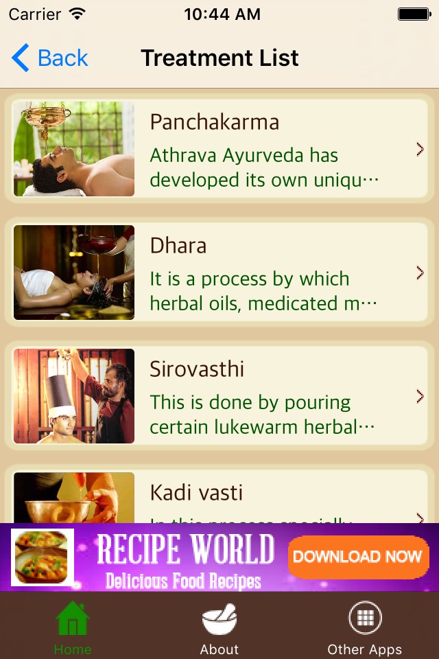 Ayurvedic Remedies - Treatment - Herbs screenshot 4