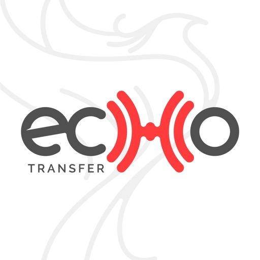 Echo Transfer - Wireless & Cloudless