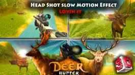 Game screenshot Deer Hunters Jungle Challenge 3D mod apk
