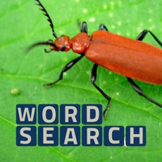 Activities of Wordsearch Revealer Critters