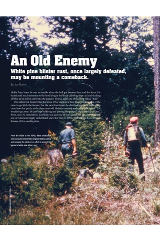 Northern Woodlands Magazine screenshot 4