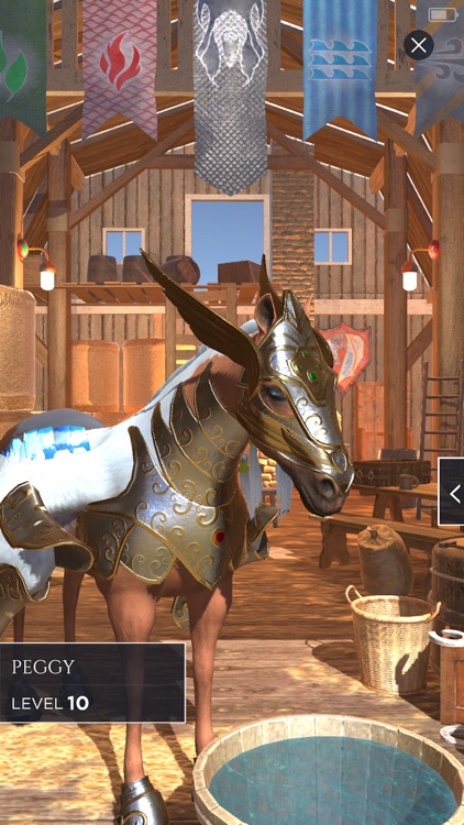 Dragon Hunters: Gulfstream