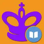 Chess: From Beginner to Club App Positive Reviews