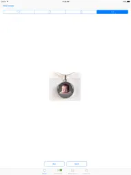 PendantLab Photo Necklaces ipad bilder 3