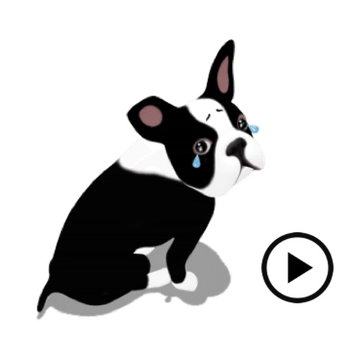 Boston Terrier Dog BostonMoji iOS App