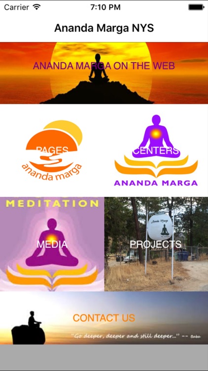 Ananda Marga NY Sector screenshot-0