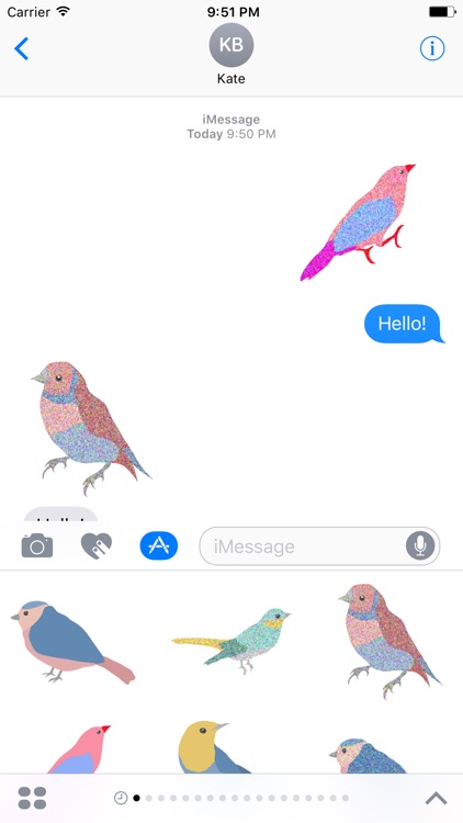 Hipster Birds