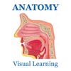 Anatomy Skeletal System