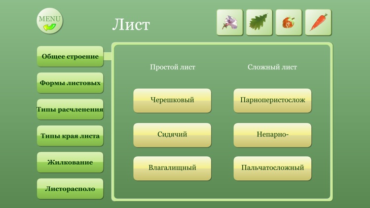 Biology Plant handbook