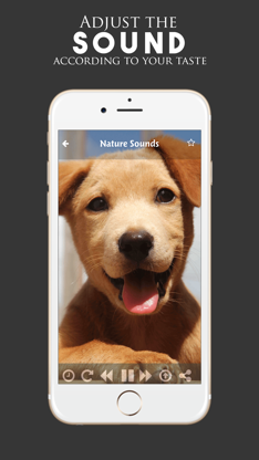 Puppy Sounds:Calming Music For Relaxation & Sleep screenshot 5