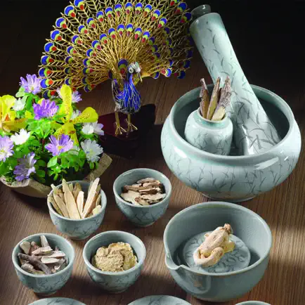 中医中药验方秘方大全 - 小偏方治大病 Читы