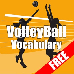 Vocabulaire VolleyBall Basic