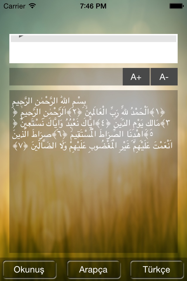 Fatiha Suresi screenshot 2