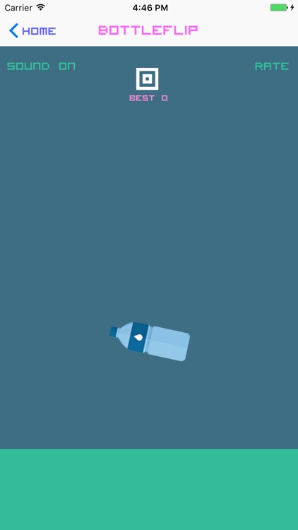 Water Flip Challenge