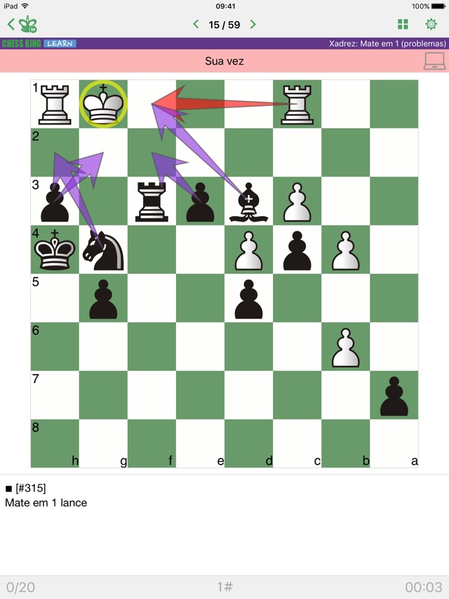 Basic Checkmates and More - Lições de Xadrez 