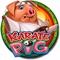 Karate Pig Slots: Lucky Slots Hit Machine Free!