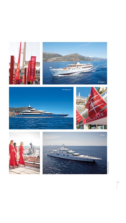 Family Office Investor